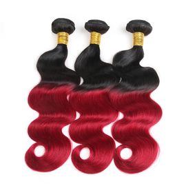 China Colored Ombre Hair Weave Body Wave Malaysian Hair Bundles Thick Hair Ends supplier