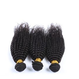 China Deep Curly Brazilian Human Hair Bundles Natural Black Color Free Sample No Tangle supplier