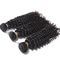 Kinky Curly Malaysian Hair Extensions Double Weft Natural Color supplier