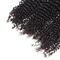 Kinky Curly Malaysian Hair Extensions Double Weft Natural Color supplier