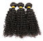 9A Natural Kinky Curly Hair Bundles Double Drawn Hair Extensions Weft supplier