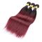Brazilian Virgin Ombre Hair Weave Ombre Human Hair Extensions 12&quot; To 26&quot; supplier