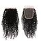 Natural Looking Brazilian Hair Closure With Natural Part 130% Standard Density supplier