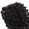 Natural Hair Skin Malaysian Curly Closure 4&quot;x4&quot; for Black Ladies Human Hair Lace Closure supplier