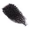 Natural Hair Skin Malaysian Curly Closure 4&quot;x4&quot; for Black Ladies Human Hair Lace Closure supplier