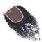 4x4 Size Swiss Lace Malaysian Kinky Curly Closure One Donor Virgin Curly Hair supplier