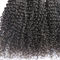 Unprocessed Human Virgin Hair Afro Kinky Curly Pure Brazilian Hair Bundles Natural Color supplier