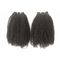 Afro Kinky Curly Hair Peruvian Virgin Human Hair Bundles Full Density No Lice No Tangle supplier