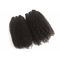 Afro Kinky Curly Hair Peruvian Virgin Human Hair Bundles Full Density No Lice No Tangle supplier