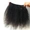 7A Grade Unprocessed Human Virgin Hair Peruvian Afro Kinky Curly Hair For Black Women supplier
