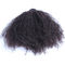 Peruvian Human Afro Kinky Curly Hair Bundles Natural Color No Chemical Smell supplier
