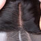 Malaysian Free Part 13x4 Lace Closure No Tangle With Natural Hair Line supplier