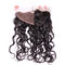 Malaysian Free Part 13x4 Lace Closure No Tangle With Natural Hair Line supplier