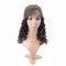 Silk And Soft  100 Human Hair Lace Front Wigs , Natural Looking Wigs No Fiber supplier
