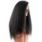 Raw Virgin Hair Front Lace Human Hair Wigs Yaki Kinky Straight Smooth And Luster supplier