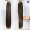 Micro Loop Hair Extensions , 100% Human Clip In Natural Hair Extensions supplier