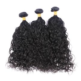 China 100 Unprocessed Brazilian Water Wave Human Hair , Natural Black Curly Hair Bundles  supplier