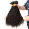 No Acid Afro Brazilian Kinky Curly Hair 100% Unprocessed Virgin Human Hair Weave supplier