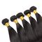 100% Pure Brazilian Straight Virgin Human Hair Bundles Mink Hair Extension supplier