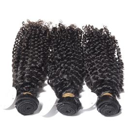 Kinky Curly Malaysian Hair Extensions Double Weft Natural Color supplier