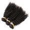 9A Natural Kinky Curly Hair Bundles Double Drawn Hair Extensions Weft supplier