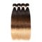 3 Tone Ombre Brazilian Hair Weave , Silky Straight Ombre Real Hair Extensions supplier