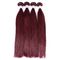 99j Burgundy Straight Brazilian Hair Peruvian Human Hair Weave Popular Sell Double Weft supplier