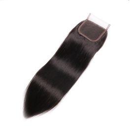 Natural Color Virgin Indian Straight Lace Closure With Hair Bundles Looks Natural With Skin supplier