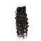 Malaysian Water Wave Swiss Lace Closure Free Parting Natural Color No Shedding supplier