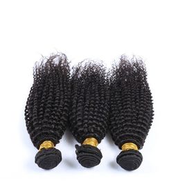 Deep Curly Brazilian Human Hair Bundles Natural Black Color Free Sample No Tangle supplier