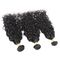 100 Unprocessed Brazilian Water Wave Human Hair , Natural Black Curly Hair Bundles  supplier