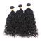 100 Unprocessed Brazilian Water Wave Human Hair , Natural Black Curly Hair Bundles  supplier