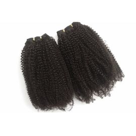 Afro Kinky Curly Hair Peruvian Virgin Human Hair Bundles Full Density No Lice No Tangle supplier