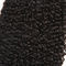 Jerry Curly Virgin Human Hair Bundles No Fiber 7A Grade Hair CE/BV/SGS supplier