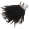 Natural Black Pre Plucked Lace Frontal Closure With Baby Hair Shedding Free supplier