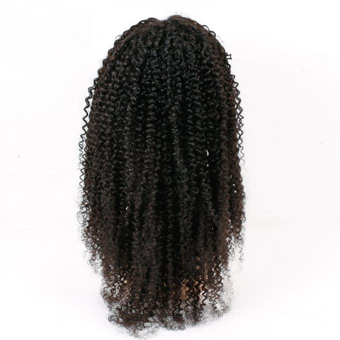 Kinky Curly Front Lace Wigs , Lace Front Full Wigs Human Hair 8A Grade